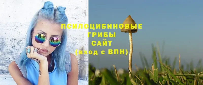 Галлюциногенные грибы Magic Shrooms  кракен ссылки  Бобров  купить закладку 